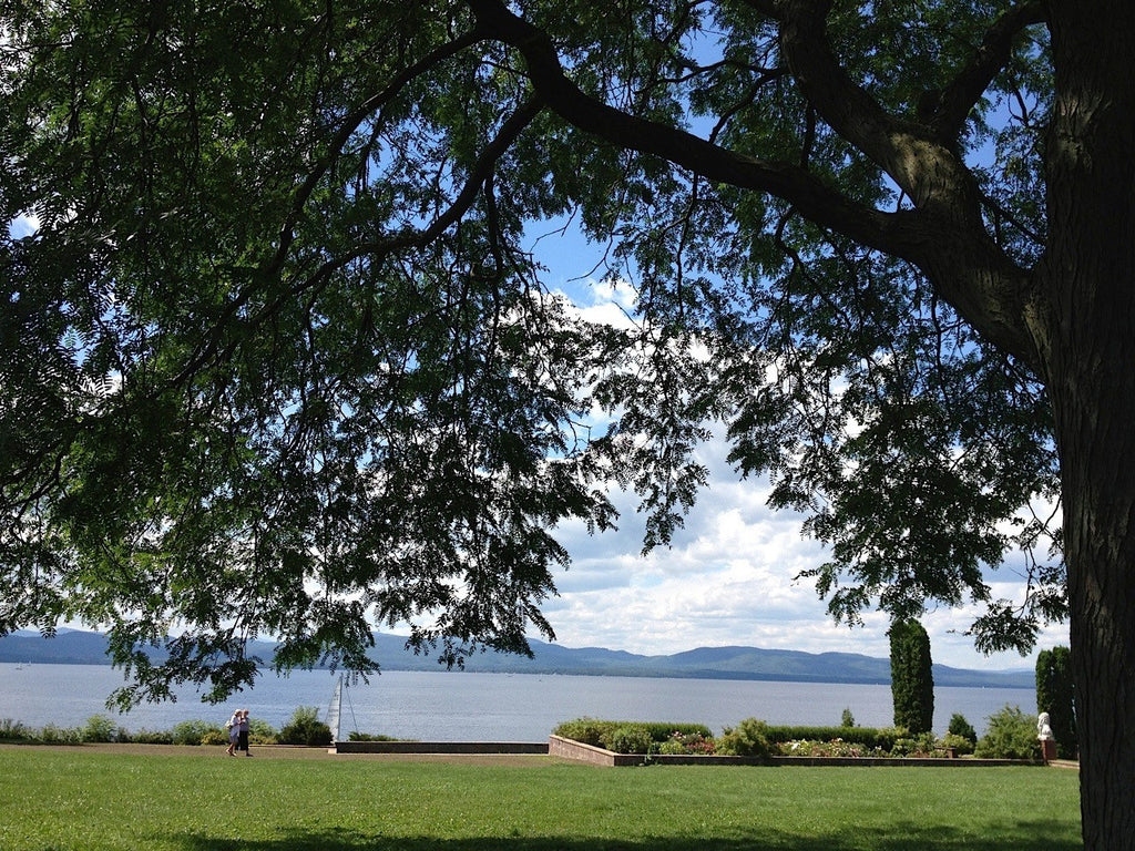 Ellen’s Review Corner: Radicalizing Spirit