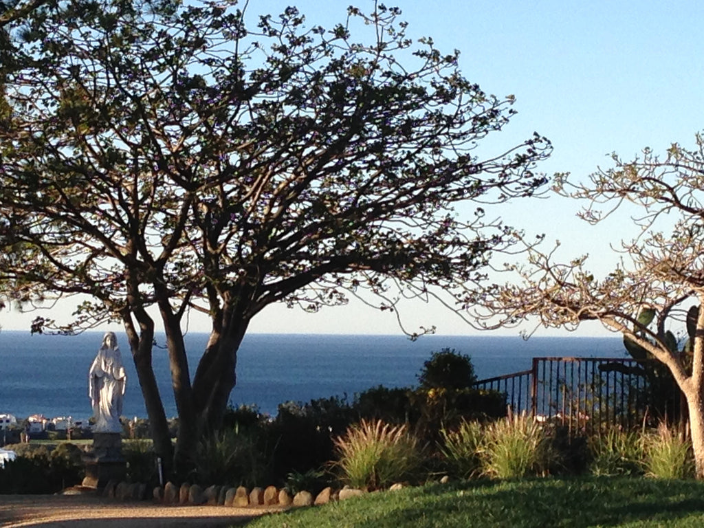 Ellen's Review Corner: Our Life Is Love: The Quaker Spiritual Journey