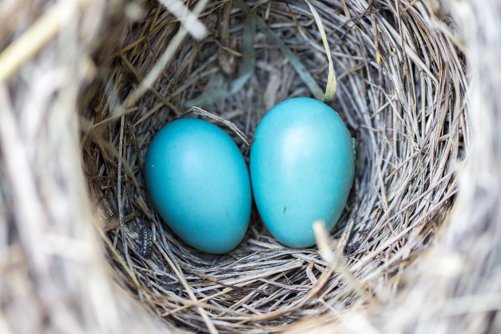 Book Musings: May 20, 2020