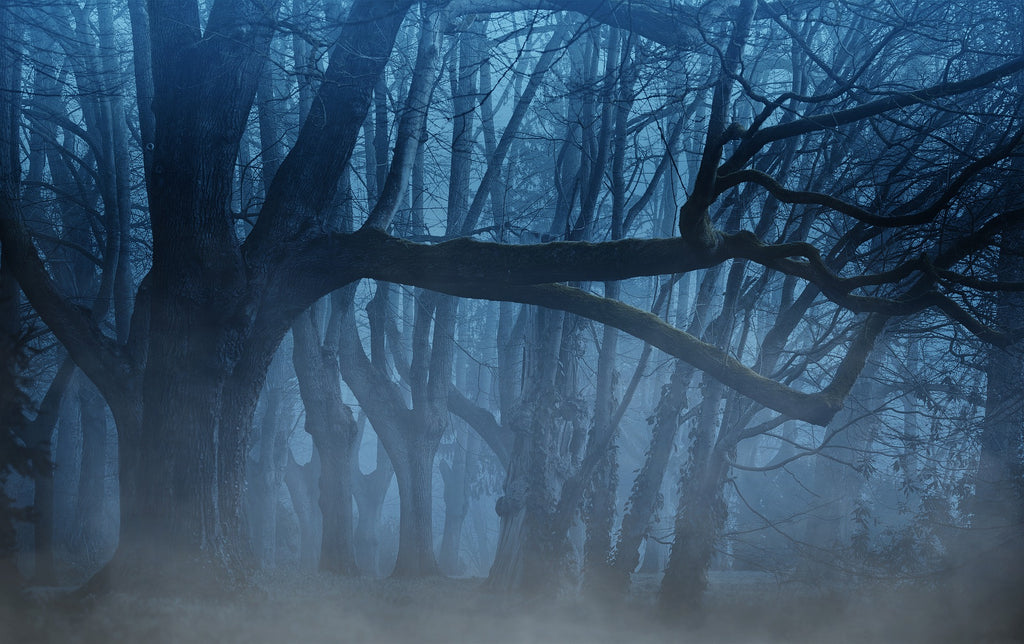 Book Musings: Tales for the Witching Hour