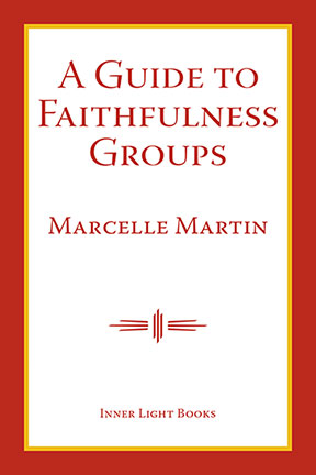 A Guide to Faithfulness Groups