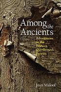 Among the Ancients:  Adventures in the Eastern Old-Growth Forests